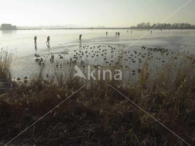 Markermeer