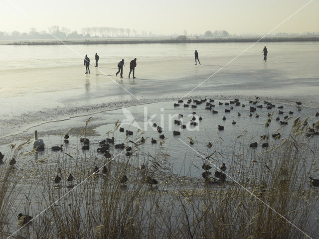 Markermeer