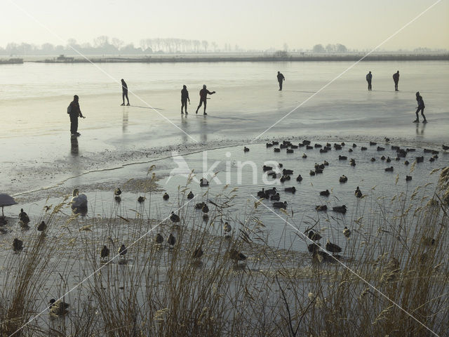 Markermeer