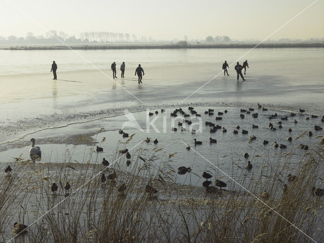 Markermeer