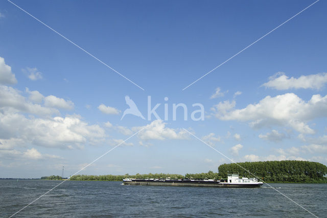 Nationaal Park de Biesbosch