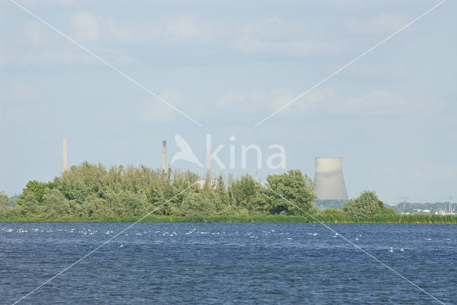 National Park de Biesbosch