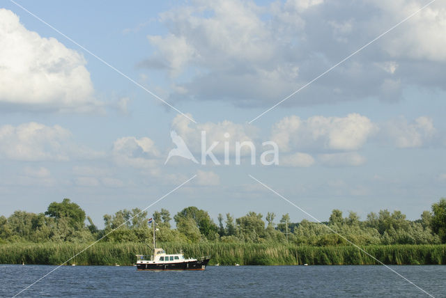 Nationaal Park de Biesbosch