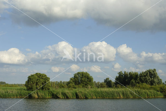National Park de Biesbosch