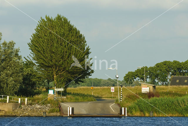 National Park de Biesbosch
