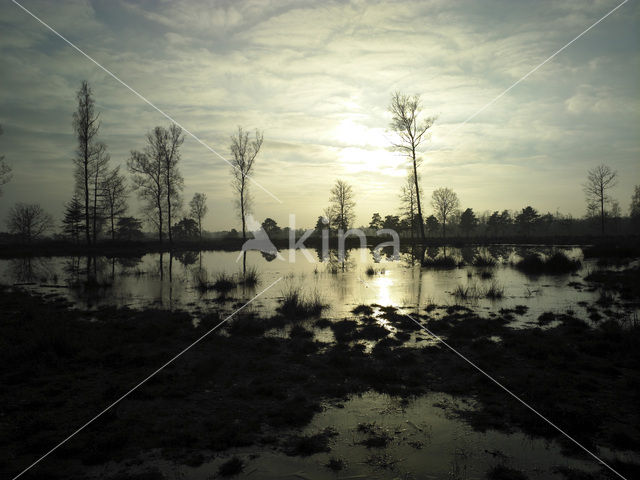 National Park Drents-Friese Wold