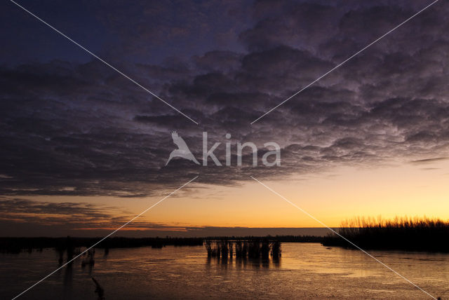 Nationaal Park Lauwersmeer