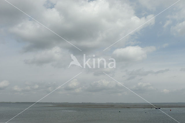 National Park Oosterschelde