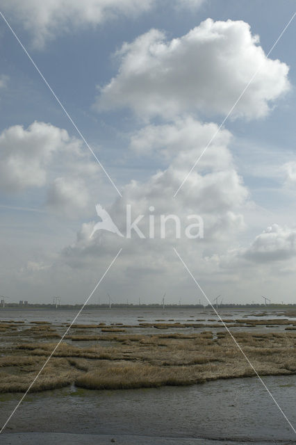 National Park Oosterschelde