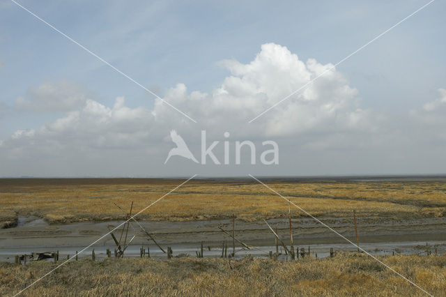 Nationaal Park Oosterschelde