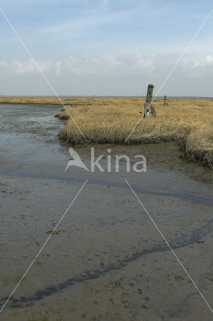 Nationaal Park Oosterschelde