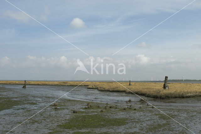 Nationaal Park Oosterschelde