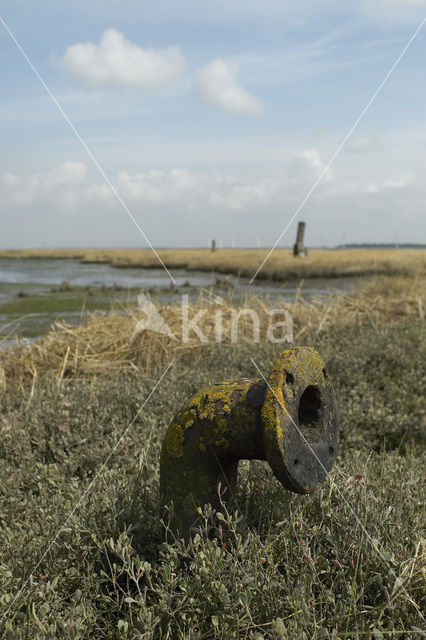 Nationaal Park Oosterschelde