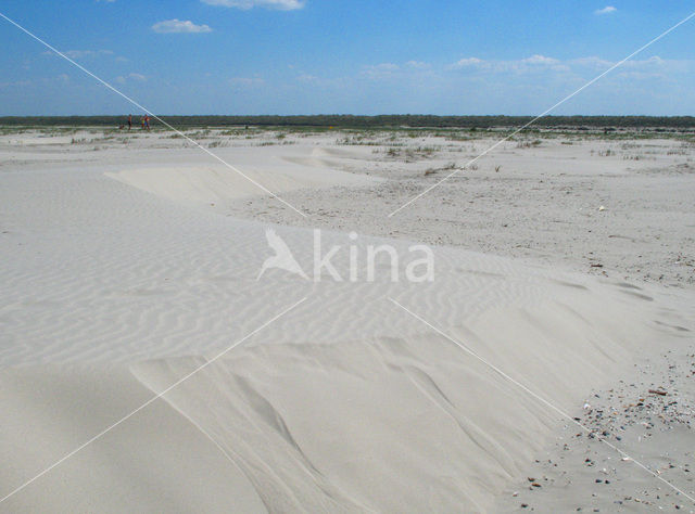 National Park Schiermonnikoog