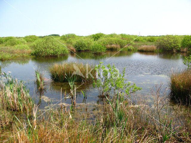 National Park Schiermonnikoog