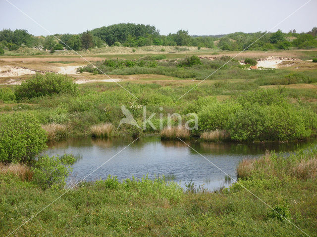 National Park Schiermonnikoog