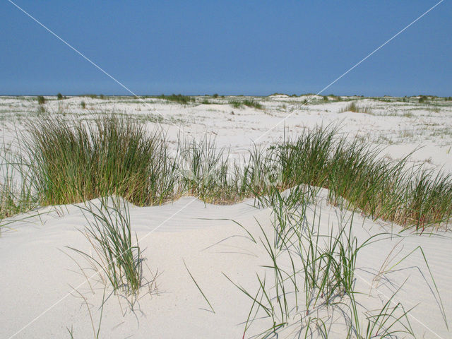 Nationaal park Schiermonnikoog