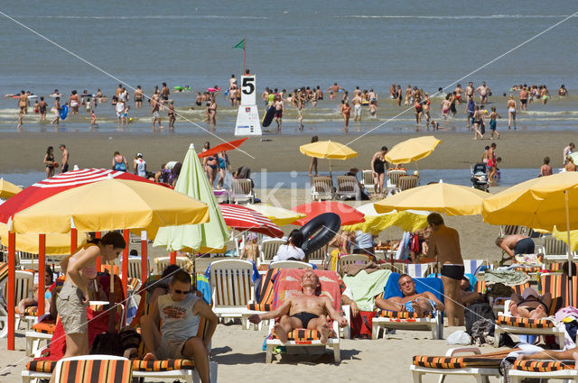 Northsea beach