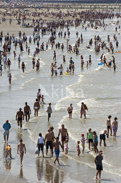 Northsea beach