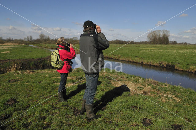 Onnerpolder