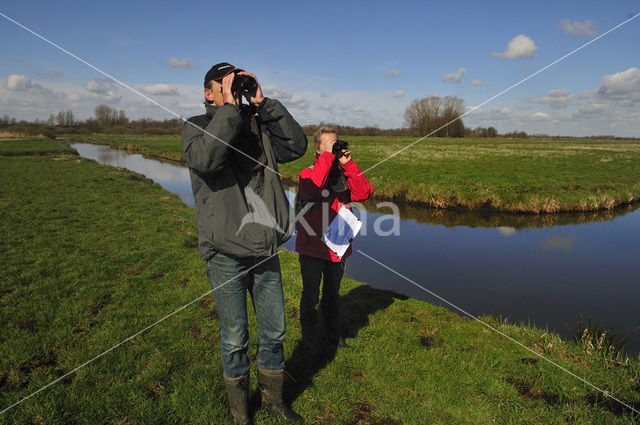 Onnerpolder