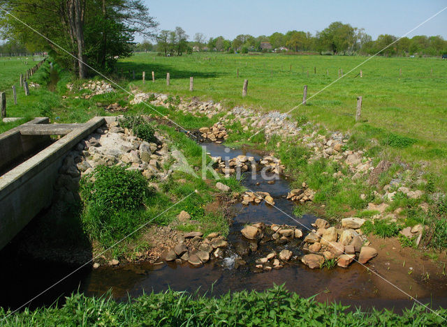 Veluwe