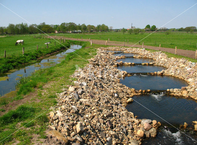 Veluwe