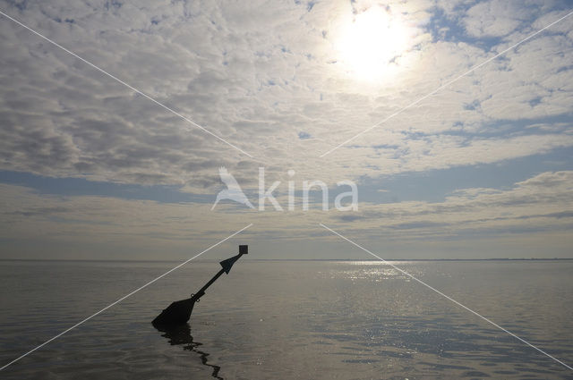 Waddensea