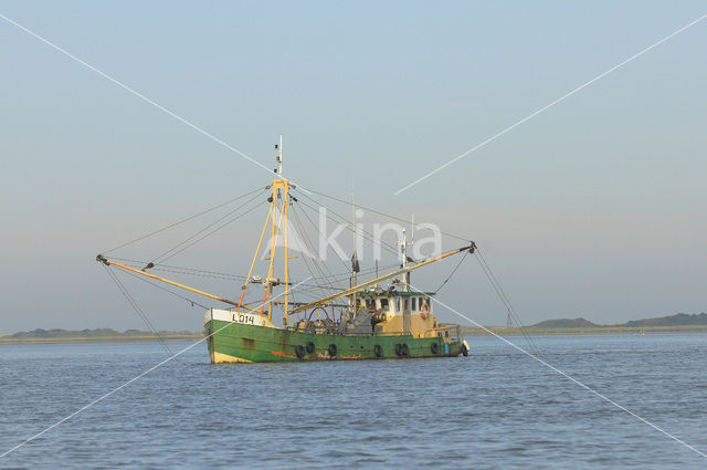 Waddensea