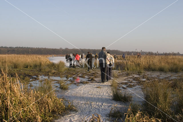 Amerongse Bovenpolder