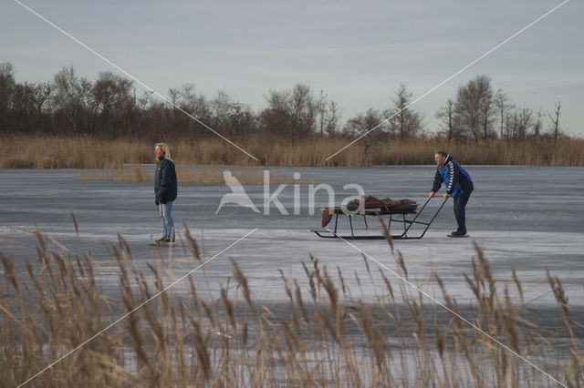 Ankeveense plassen