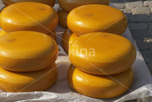 Gouda