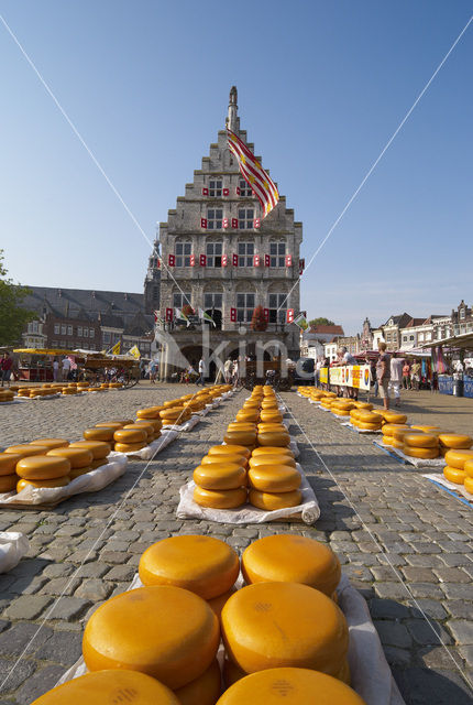 Gouda