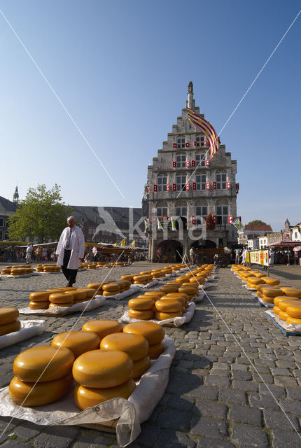 Gouda