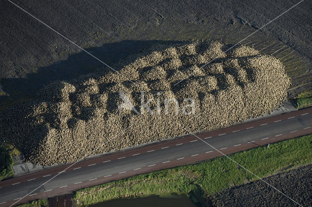 Haarlemmermeer