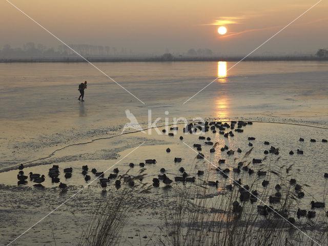 Markermeer