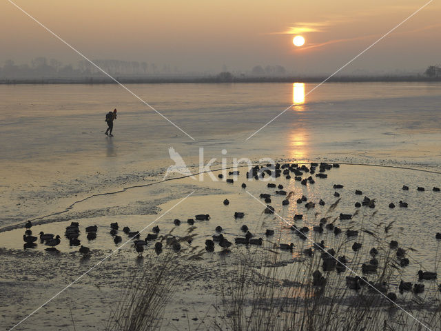 Markermeer