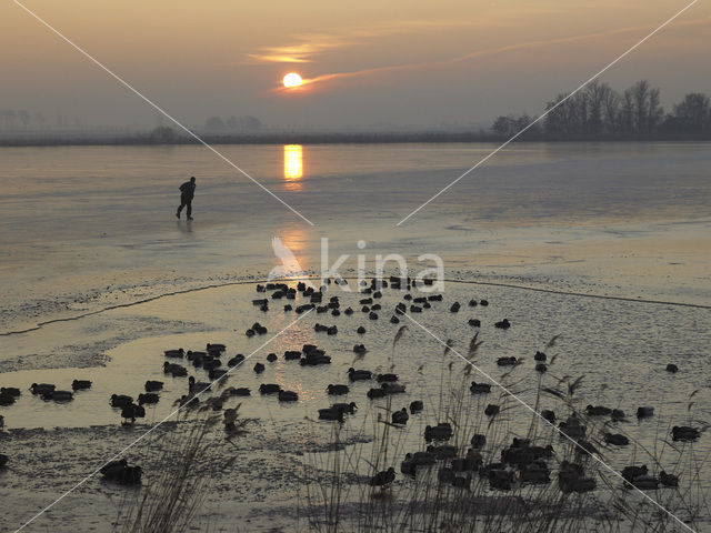 Markermeer