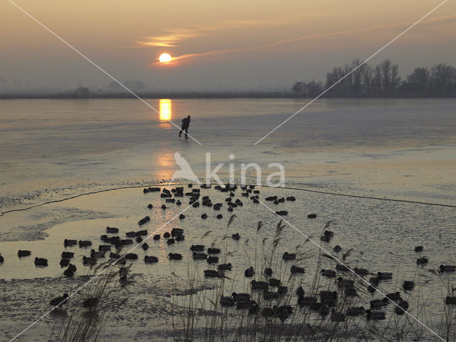 Markermeer