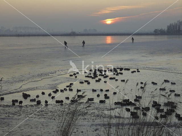 Markermeer