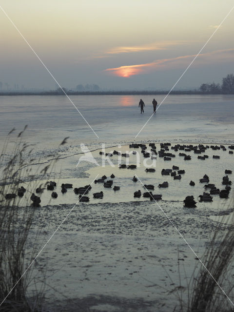 Markermeer