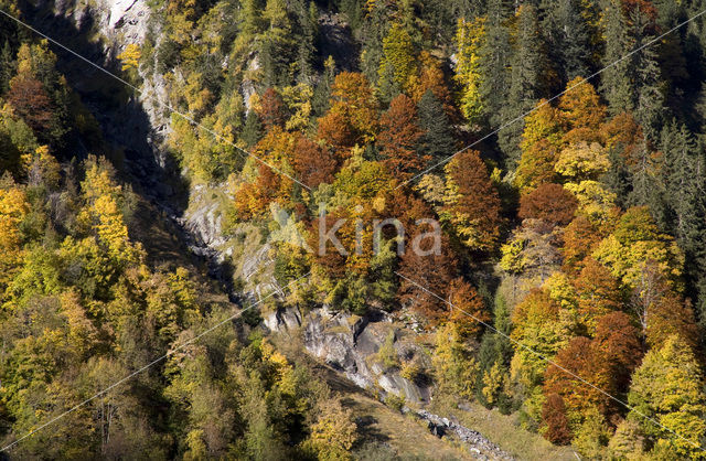 Nationaal Park Hohe Tauern