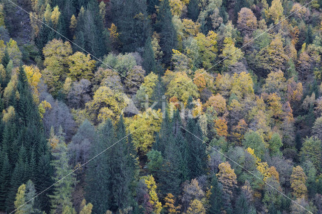 Hohe Tauern National Park