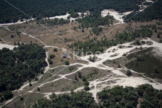 Nationaal Park Loonse en Drunense Duinen