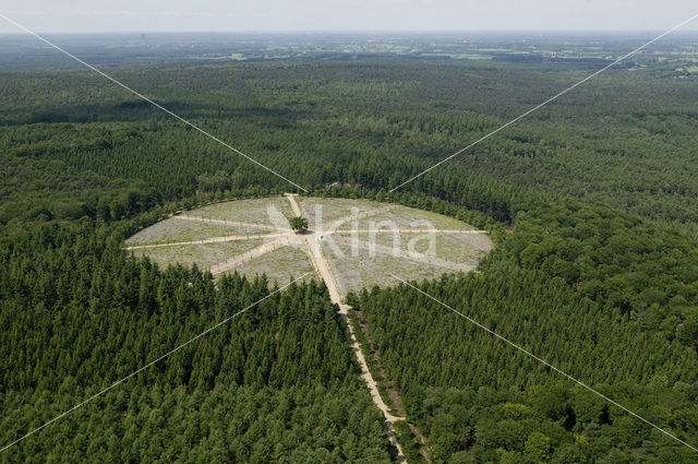 Nationaal park Utrechtse Heuvelrug