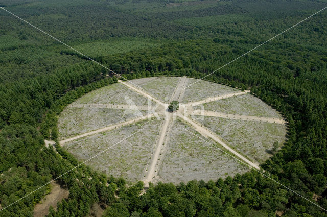 Nationaal park Utrechtse Heuvelrug