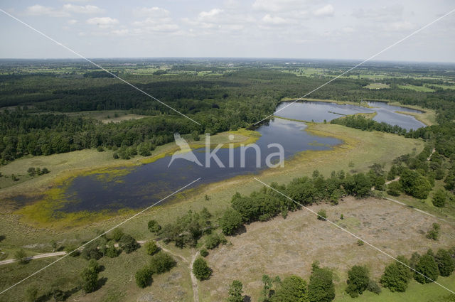 Nationaal park Utrechtse Heuvelrug