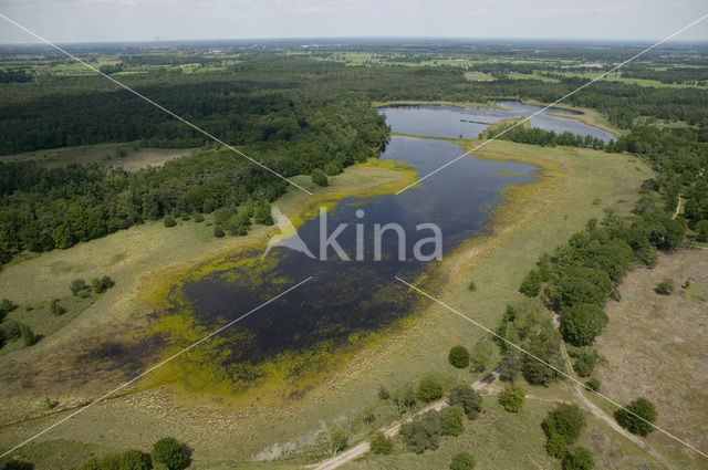 Nationaal park Utrechtse Heuvelrug