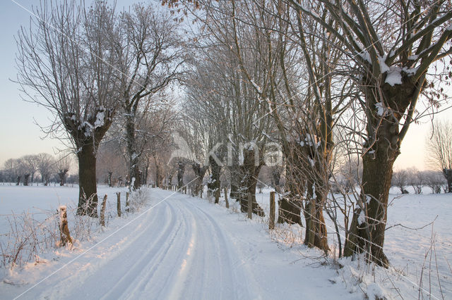 Nature reserve Mommniederung