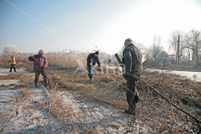 Nieuwkoopse Plassen